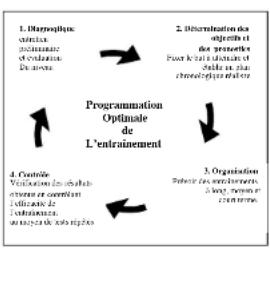 DKN Space Run - Evaluación de su condición fisica - 1