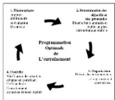DKN Space Run - Evaluation of your physical condition - 1