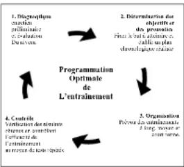 DKN AM3 - Evaluation of your physical condition - 1