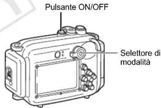CANON PowerShot SD770 IS - Riproroduzione - 1