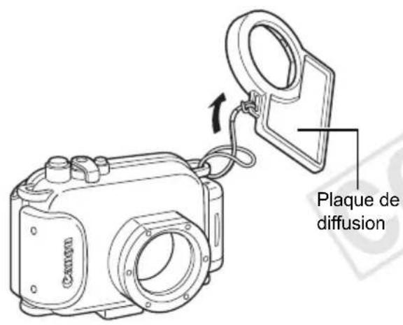 CANON PowerShot SD770 IS - Attachez la plaque de diffusion à l'aide du cordon comme illustré. - 1