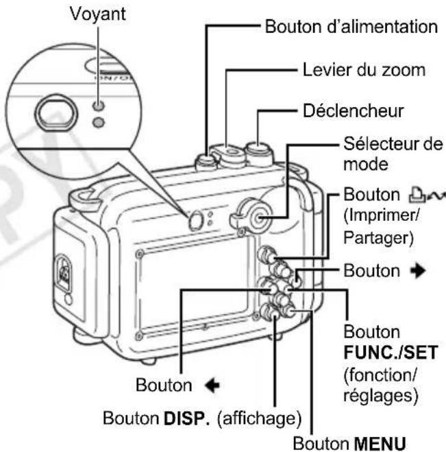 CANON PowerShot SD770 IS - Prise de vue - 1