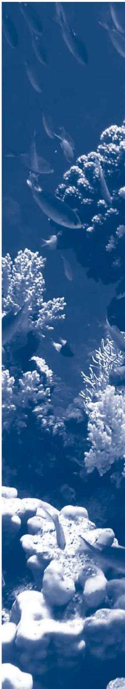 Ferplast Cayman 80 Scenic - Ferplast Ukraine - 1