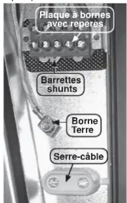 CANDY PVD6402X - RACCORDEMENT AUX BORNES DE LA PLAQUE - 1