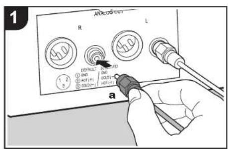 PIONEER N70AE - Collegamenti con un amplificatore - 1