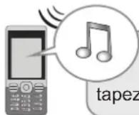 SOMFY 2401130 - Commande à distance par téléphone avec le module RTC - 8