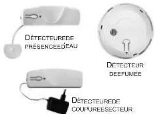 SOMFY 2401130 - Détecter une anomalie domestique - 1