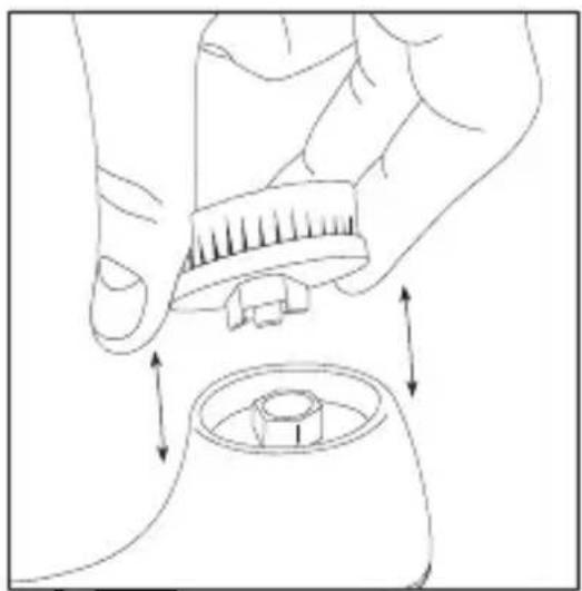 SILKN SCPB1P - Kefe fej csere - 1