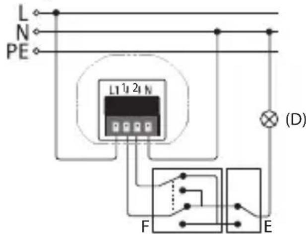 RWE 10267407 - Montage en croix - 1