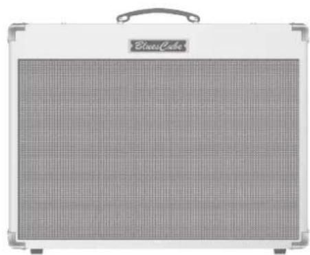 ROLAND Blues Cube Artist 212 - BluesCube Tour - 2