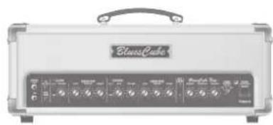 ROLAND Blues Cube Artist 212 - BluesCube Tour - 3