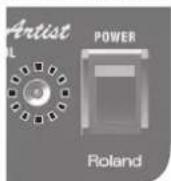 ROLAND Blues Cube Artist 212 - POWER - 1