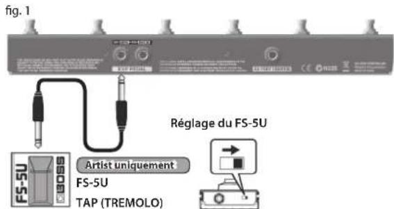 ROLAND Blues Cube Artist 212 - Utilisation du GA-FC - 2