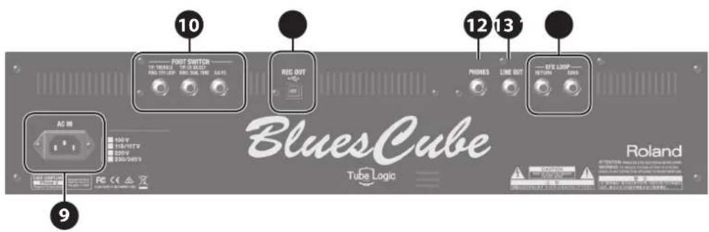 ROLAND Blues Cube Artist 212 - Panneau arrête - 2