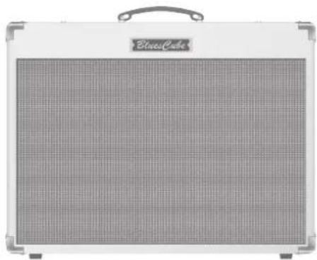ROLAND Blues Cube Stage - 2