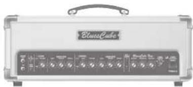 ROLAND Blues Cube Stage - 3