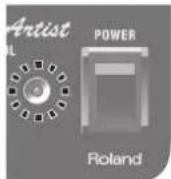 ROLAND Blues Cube Stage - Commutateur [POWER] - 1