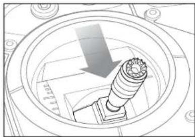 Blade 360 CFX 3S - Throttle Hold [Autorotation] - 1