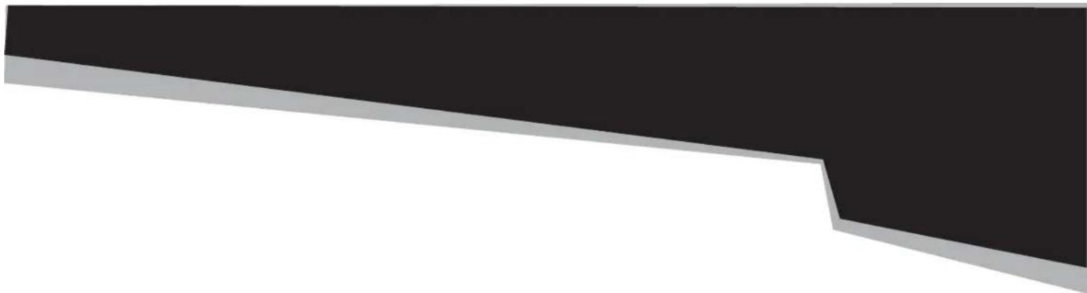 Blade 360 CFX 3S - REMARQUE - 1