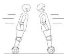SEGWAY miniLITE - Advertencia - 8