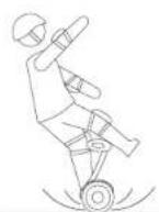 SEGWAY miniLITE - Avertissement - 3