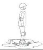 SEGWAY miniLITE - Warning - 5