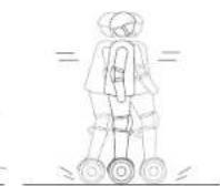 SEGWAY miniLITE - Advertencia - 11