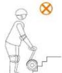 SEGWAY miniLITE - WARNING - 3