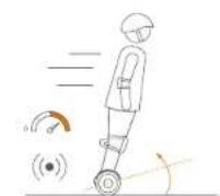 SEGWAY miniLITE - Advertencia - 7