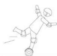 SEGWAY miniLITE - Warning - 1