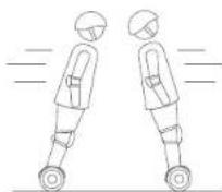 SEGWAY miniLITE - Warning - 8