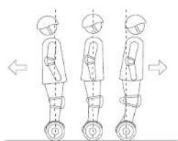 SEGWAY miniLITE - WARNING - 4