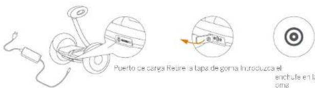 SEGWAY miniLITE - Carga - 1