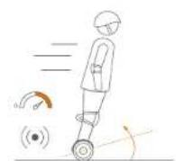 SEGWAY miniLITE - Attenzione - 6