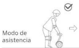 SEGWAY miniLITE - ADVERTENCIA - 1