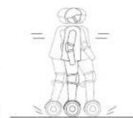 SEGWAY miniLITE - Avertissement - 10