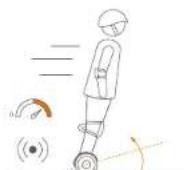 SEGWAY miniLITE - Warning - 7