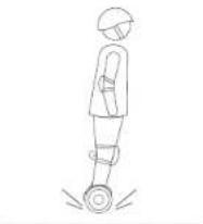 SEGWAY miniLITE - Attenzione - 10