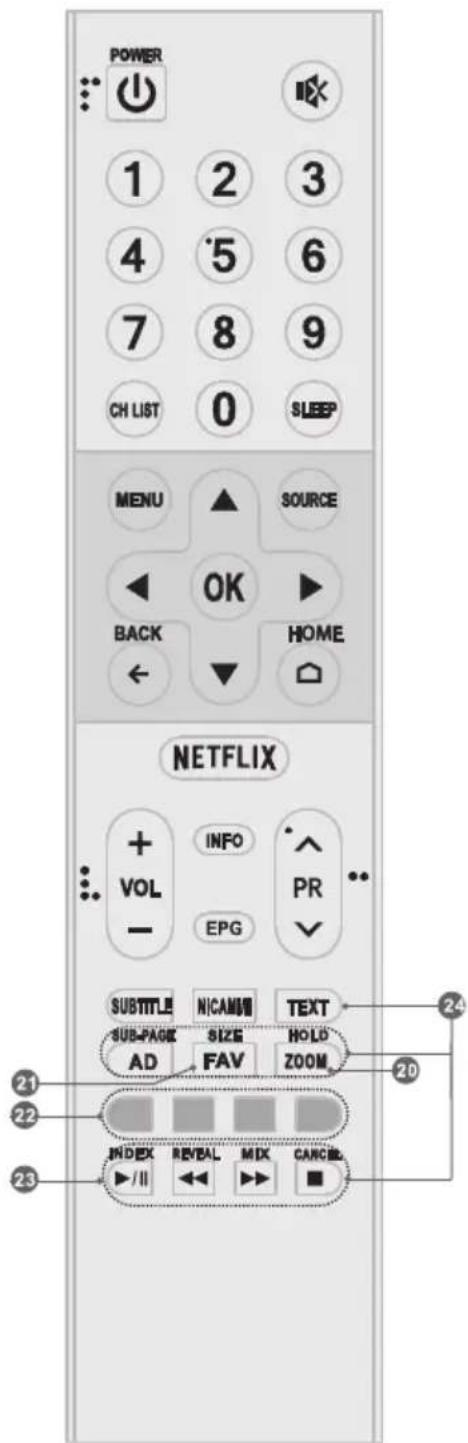 TESLA 43S901SUS - Telecomando (RC A) - 2