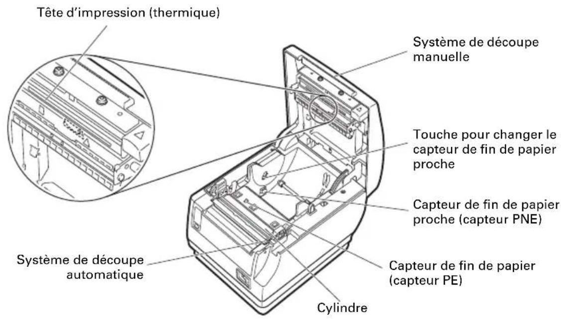CITIZEN CTS651II - À l'intérieur du capot papier - 1