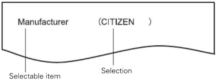 CITIZEN CTS651II - Quick setting mode - 1