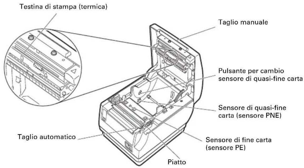 CITIZEN CTS651II - All'interno del coperchio carta - 1
