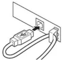 CITIZEN CTS651II - Conexión de los cables de interfaz - 2