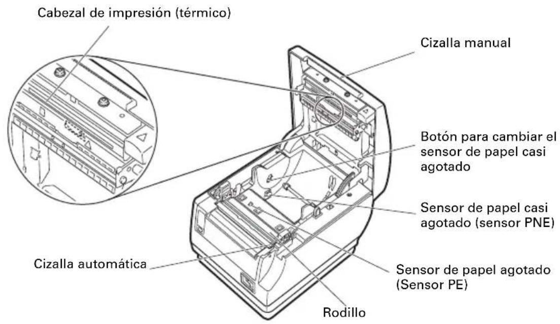 CITIZEN CTS651II - Interior de la tapa del papel - 1