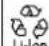 Fein ASCS 6.3 - 11