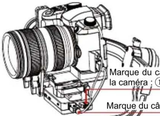 Zhiyun Crane - Connexion du câble de données - 1