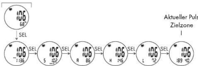 CRIVIT 1LD3875 - Pulsmesser (PULS/PULSE) - 1
