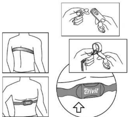 CRIVIT 1LD3875 - Wearing the chest belt - 1