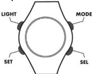 CRIVIT 1LD3875 - Informations importantes pour l'utilisation de la montre cardiofréquencemètre - 1