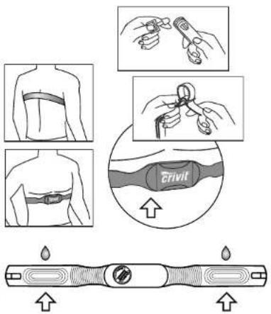 CRIVIT 1LD4597 - Wearing the chest belt - 1